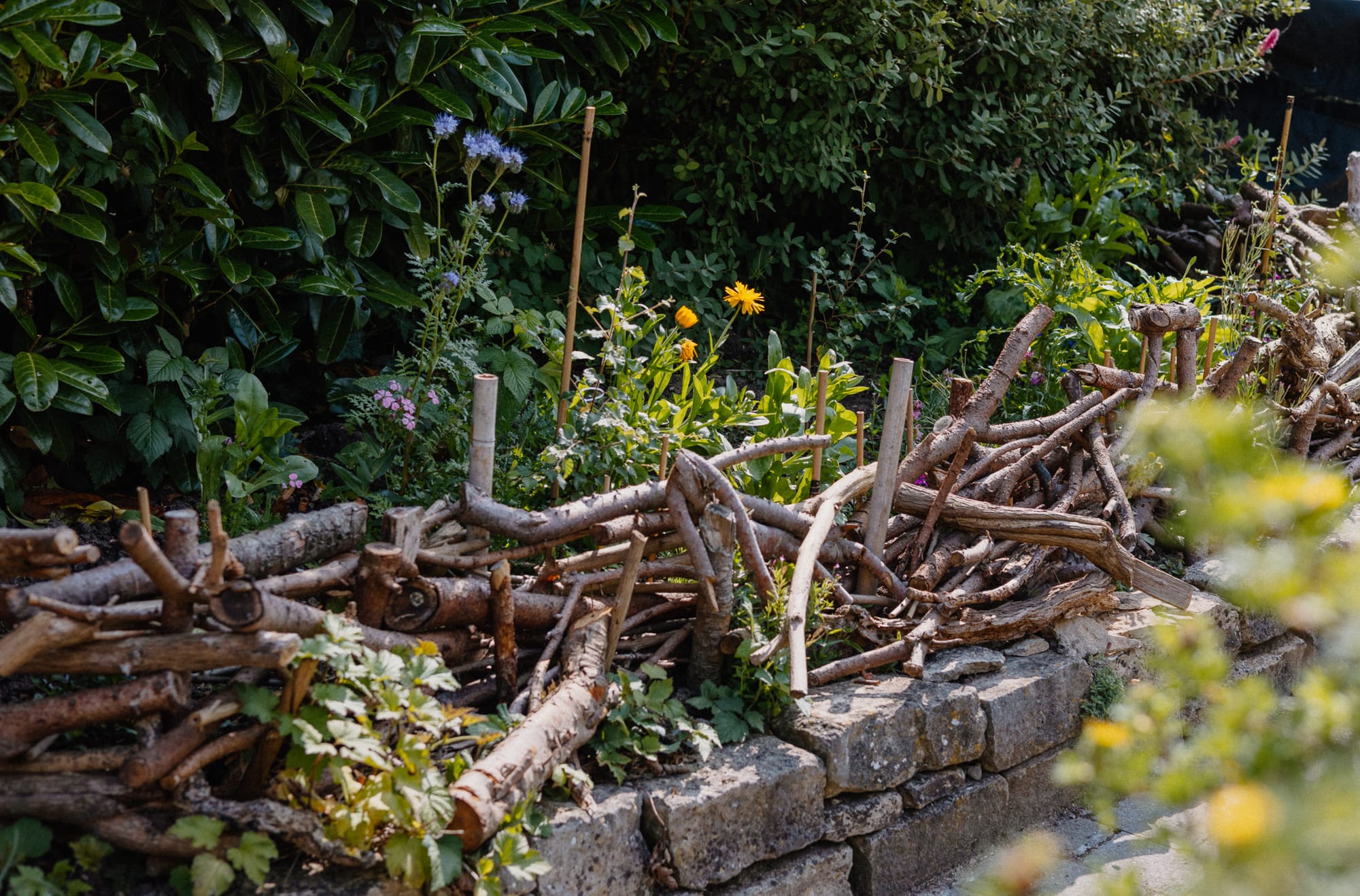 rustic  homemade fence