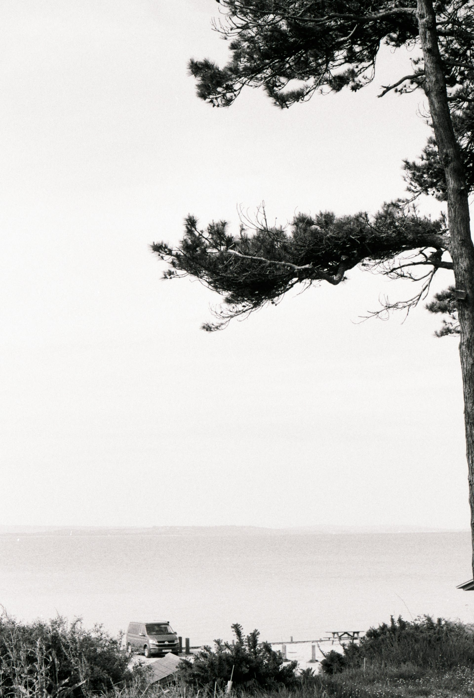 Analogue photos of New Forest National Park taken on Rollei RPX 400 35mm film with a Canon EOS 3Analogue photos of New Forest National Park taken on Rollei RPX 400 35mm film with a Canon EOS 3