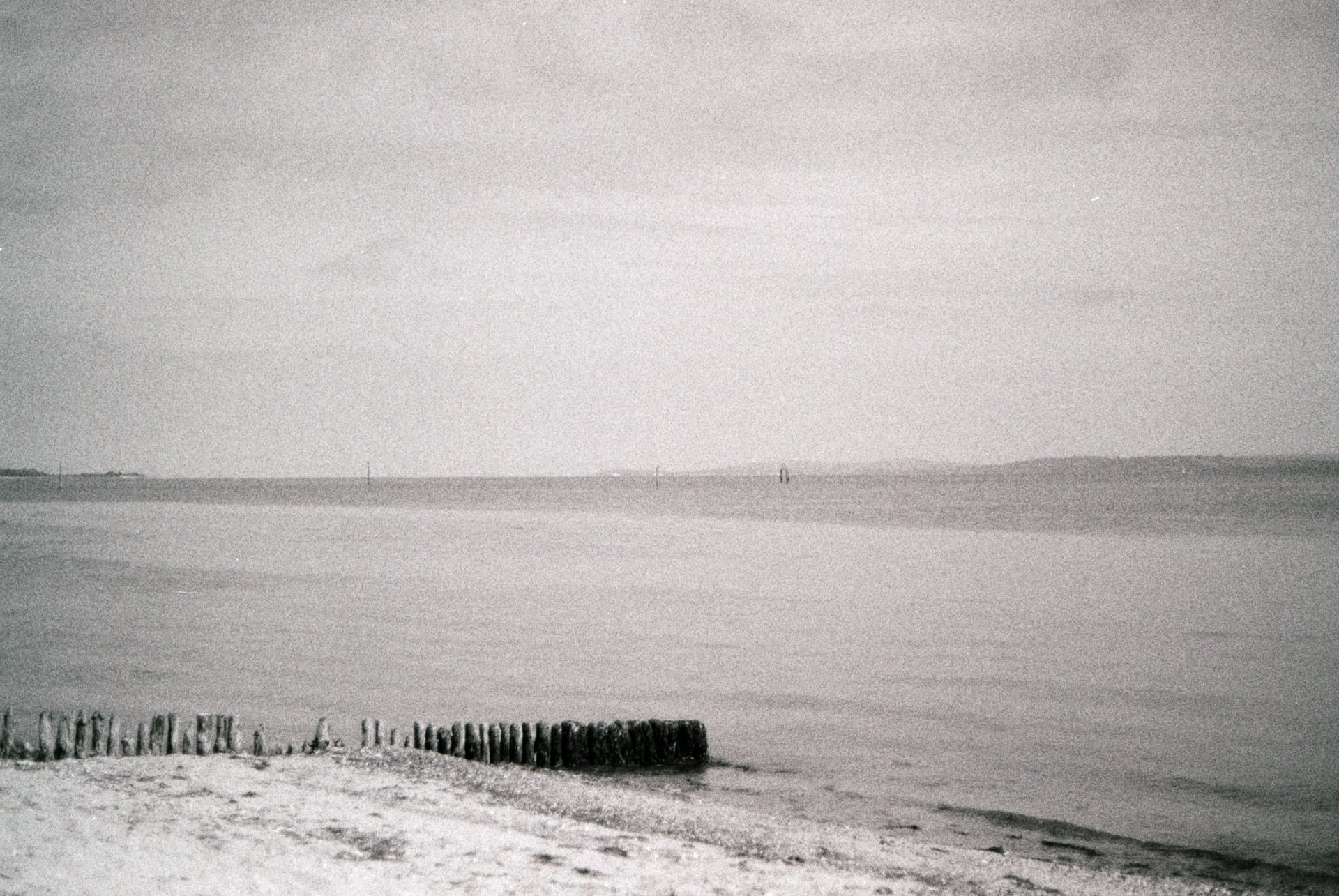 Analogue photos of New Forest National Park taken on Rollei RPX 400 35mm film with a Canon EOS 3Analogue photos of New Forest National Park taken on Rollei RPX 400 35mm film with a Canon EOS 3